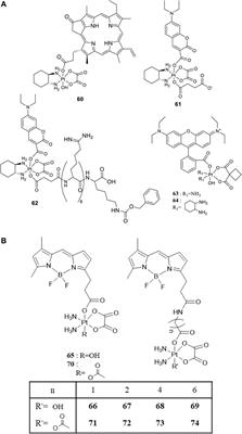 Ligand Evolution in the Photoactivatable Platinum(IV) Anticancer <mark class="highlighted">Prodrugs</mark>